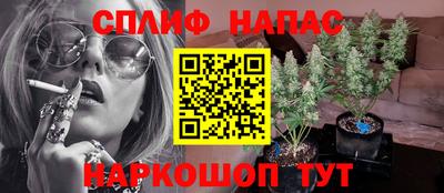 дмт Рязань