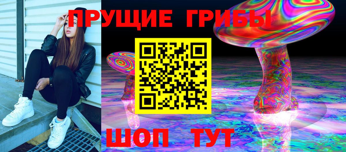 Псилоцибиновые грибы Psilocybe Москва